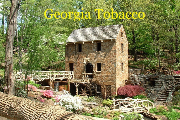 Georgia Tobacco